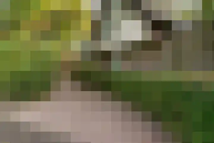 Lytse Súdein 57 Uitwellingerga thumbnail 63