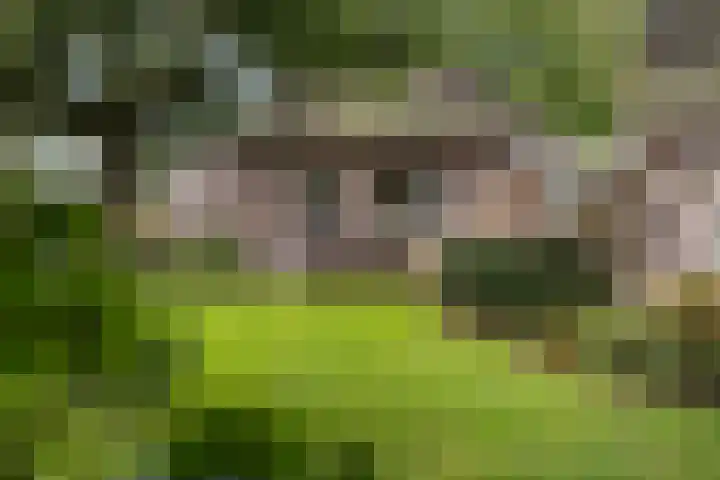 Lytse Súdein 57 Uitwellingerga thumbnail 65