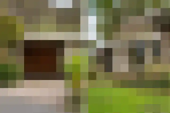 Lytse Súdein 57 Uitwellingerga thumbnail 66