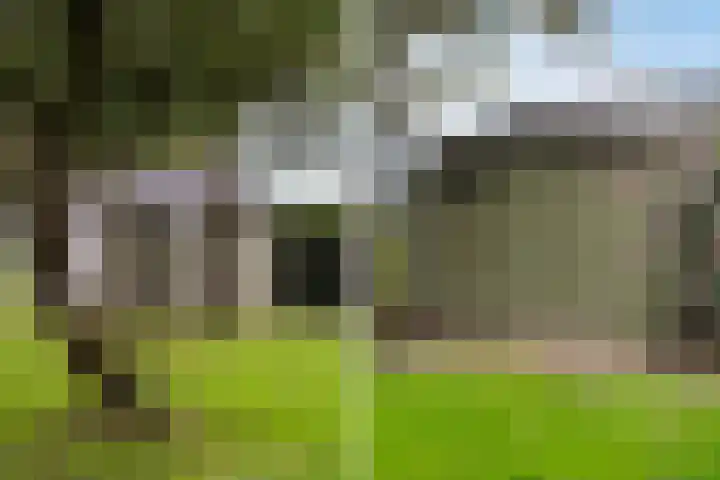 Lytse Súdein 57 Uitwellingerga thumbnail 67