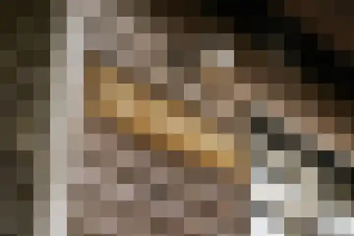 Lytse Súdein 57 Uitwellingerga thumbnail 68