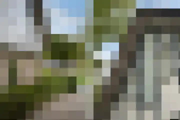 Lytse Súdein 57 Uitwellingerga thumbnail 69