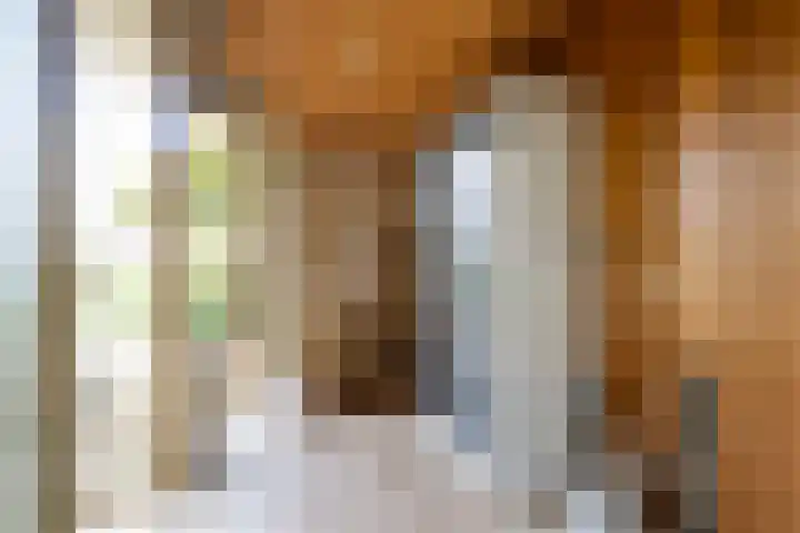 Lytse Súdein 57 Uitwellingerga thumbnail 7