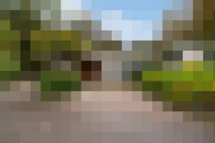 Lytse Súdein 57 Uitwellingerga thumbnail 70