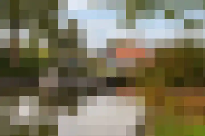Lytse Súdein 57 Uitwellingerga thumbnail 73