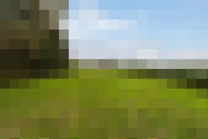 Lytse Súdein 57 Uitwellingerga thumbnail 74