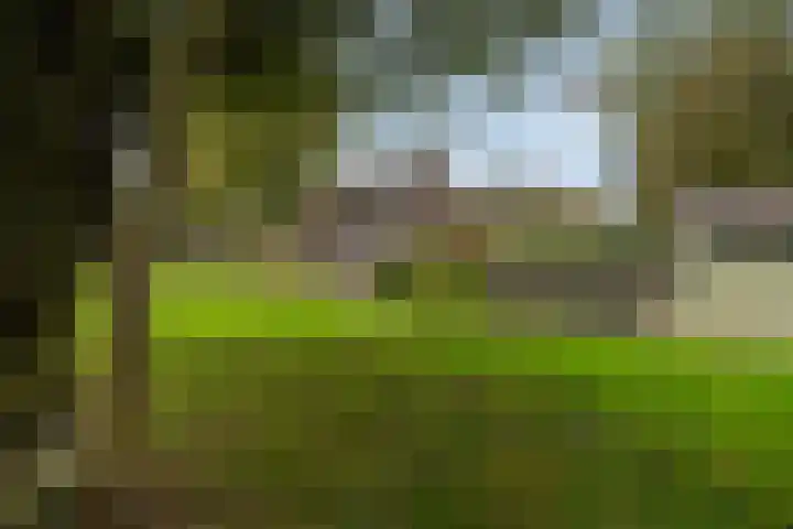 Lytse Súdein 57 Uitwellingerga thumbnail 75