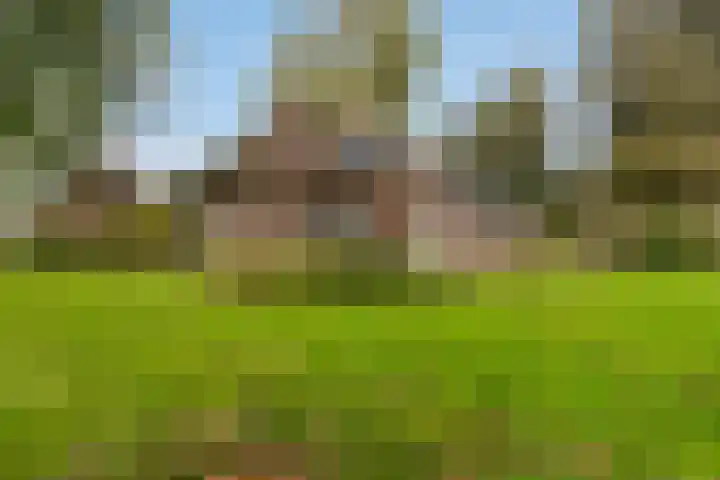 Lytse Súdein 57 Uitwellingerga thumbnail 77
