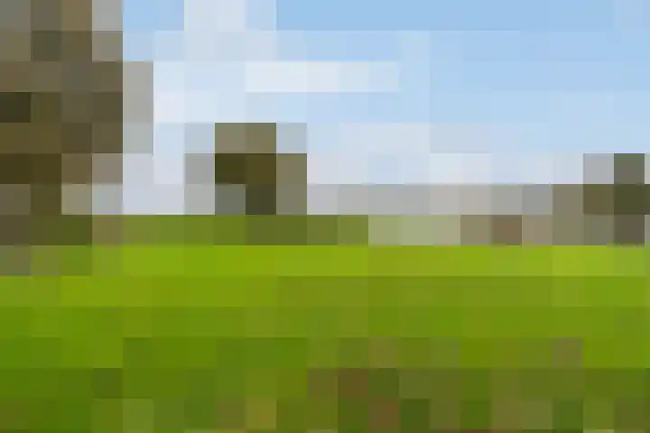 Lytse Súdein 57 Uitwellingerga thumbnail 78