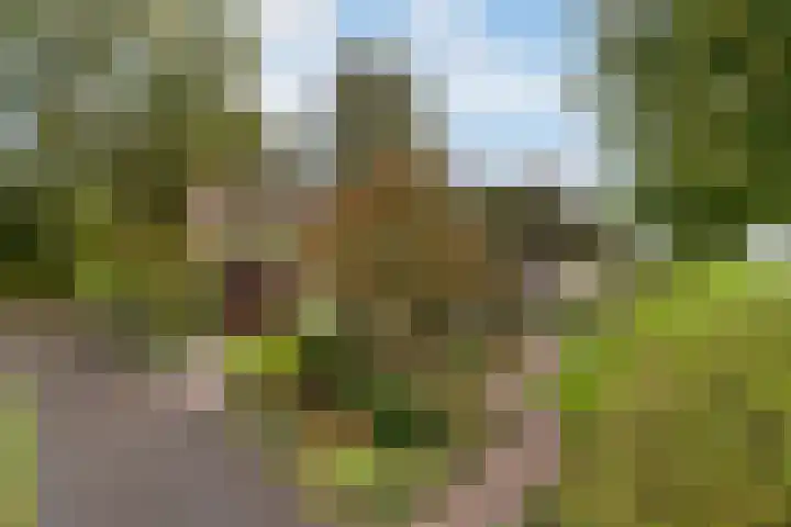 Lytse Súdein 57 Uitwellingerga thumbnail 79