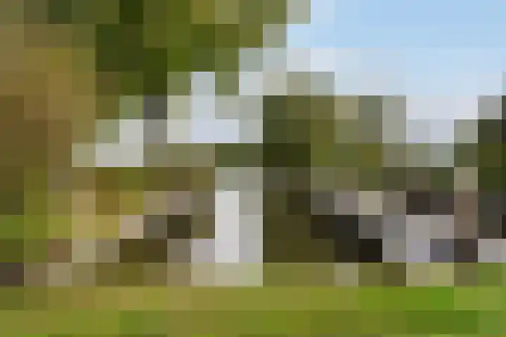 Lytse Súdein 57 Uitwellingerga thumbnail 80