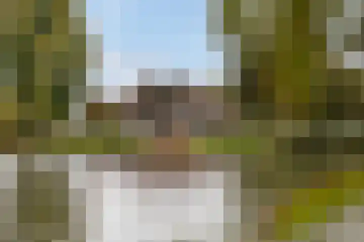 Lytse Súdein 57 Uitwellingerga thumbnail 81