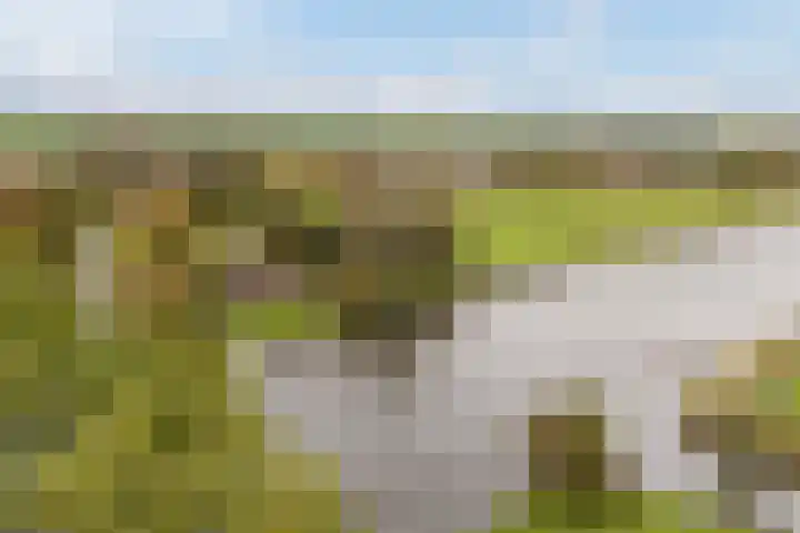 Lytse Súdein 57 Uitwellingerga thumbnail 83