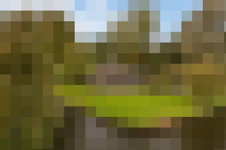 Lytse Súdein 57 Uitwellingerga thumbnail 84