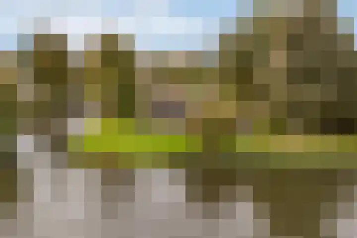 Lytse Súdein 57 Uitwellingerga thumbnail 85