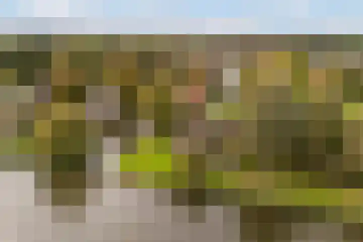 Lytse Súdein 57 Uitwellingerga thumbnail 86