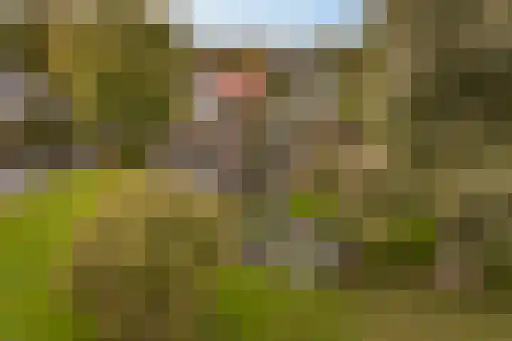 Lytse Súdein 57 Uitwellingerga thumbnail 87