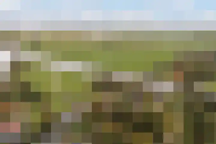 Lytse Súdein 57 Uitwellingerga thumbnail 88