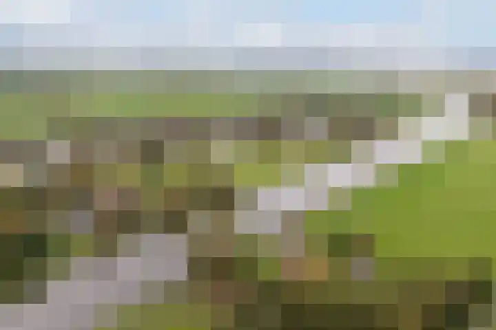 Lytse Súdein 57 Uitwellingerga thumbnail 89