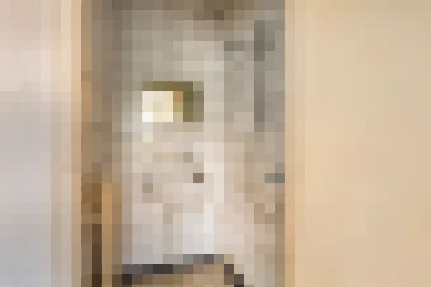 Lytse Wei 12 Ingwierrum thumbnail 15