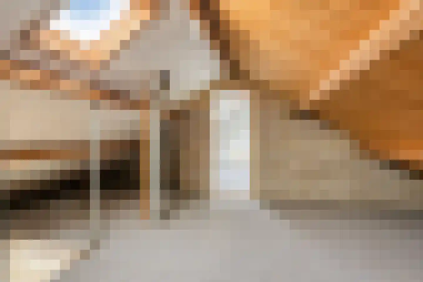 Lytse Wei 12 Ingwierrum thumbnail 16