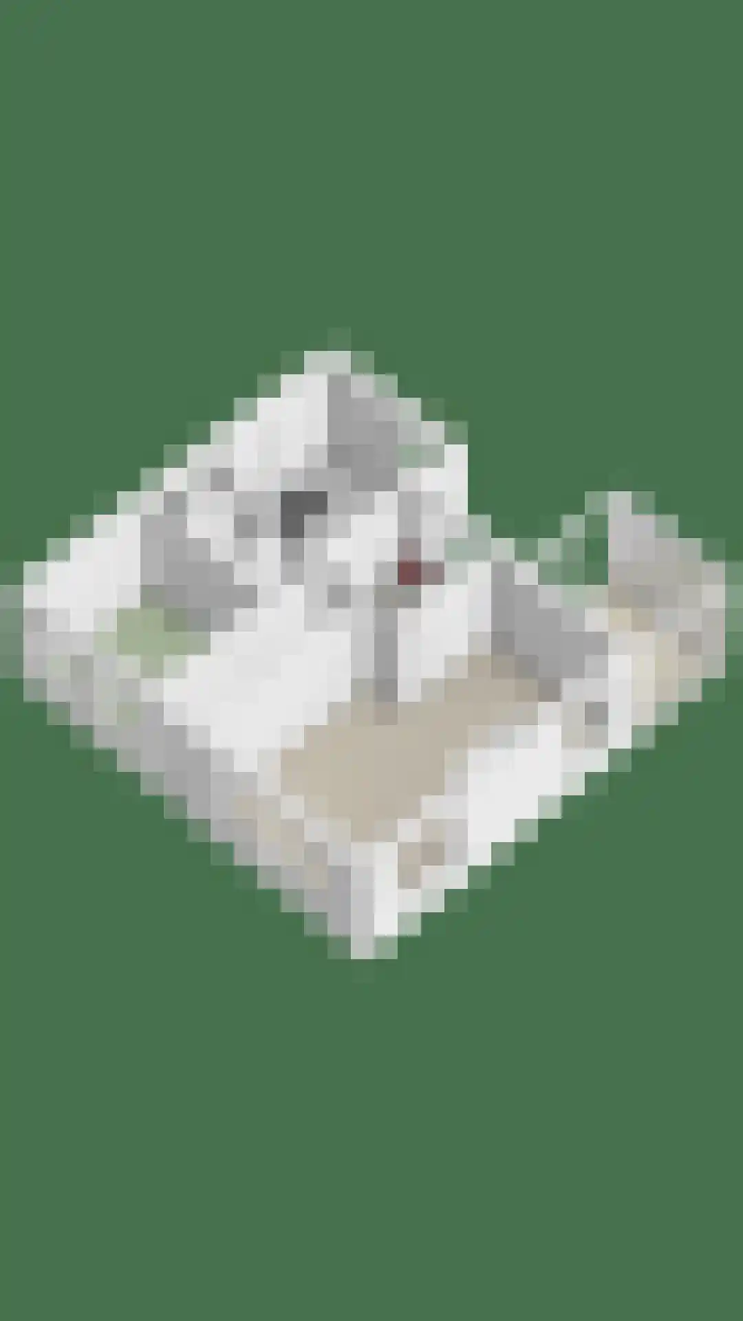 Lytse Wei 12 Ingwierrum thumbnail 30