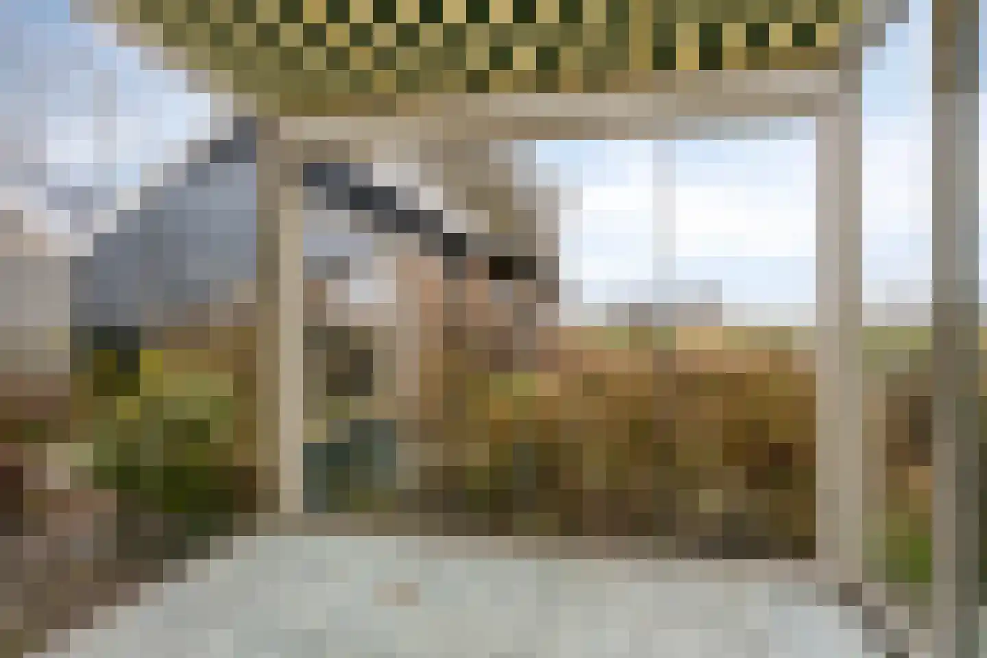 Lytse Wei 12 Ingwierrum thumbnail 9