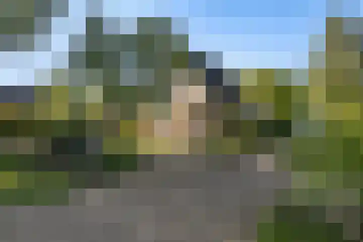 Lytse Wyngaerden 19 Langezwaag thumbnail 10