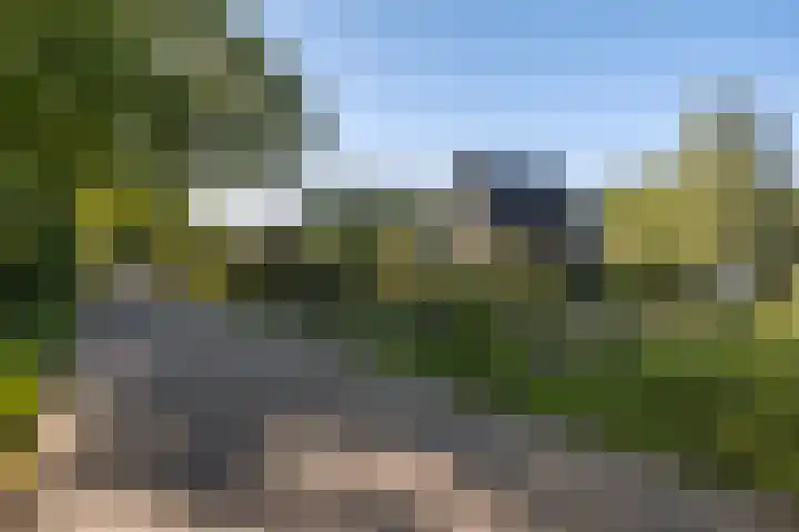 Lytse Wyngaerden 19 Langezwaag thumbnail 11