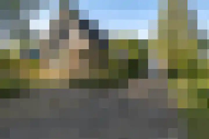 Lytse Wyngaerden 19 Langezwaag thumbnail 12