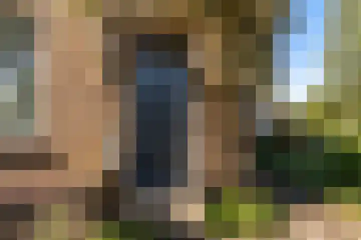 Lytse Wyngaerden 19 Langezwaag thumbnail 13