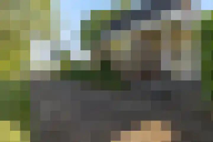 Lytse Wyngaerden 19 Langezwaag thumbnail 32
