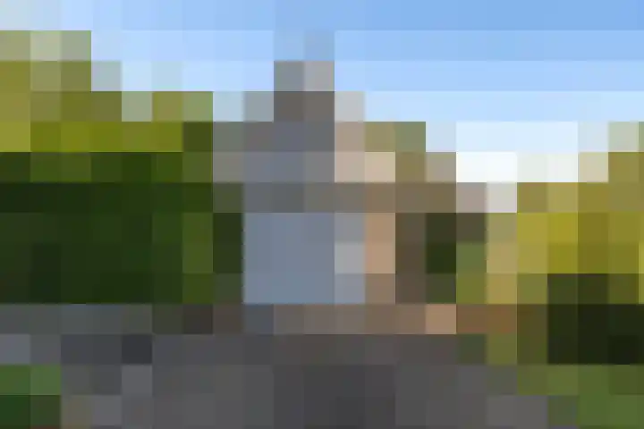 Lytse Wyngaerden 19 Langezwaag thumbnail 33
