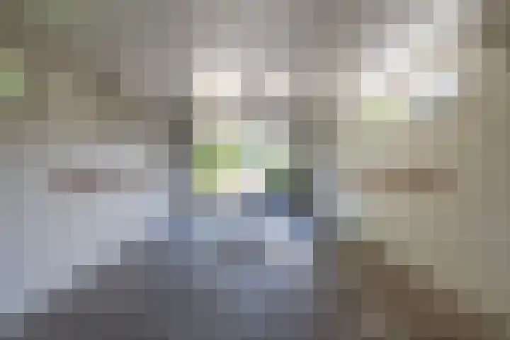 Lytse Wyngaerden 19 Langezwaag thumbnail 34
