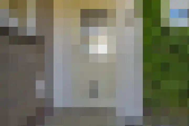 Lytse Wyngaerden 19 Langezwaag thumbnail 36