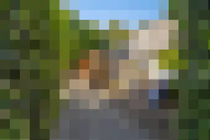 Lytse Wyngaerden 19 Langezwaag thumbnail 37