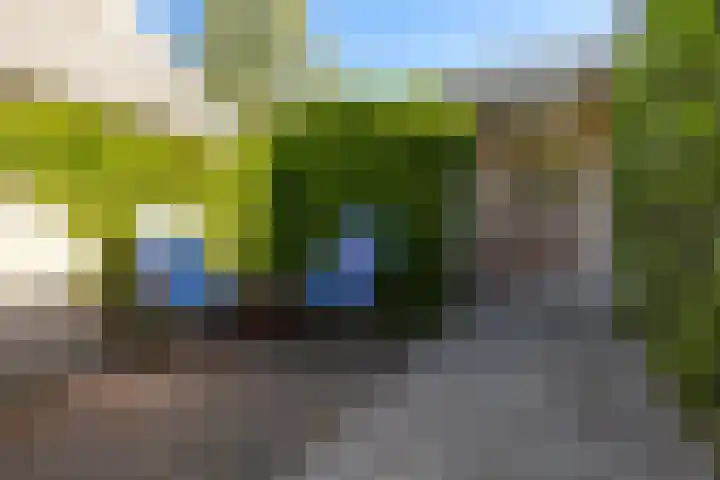 Lytse Wyngaerden 19 Langezwaag thumbnail 38
