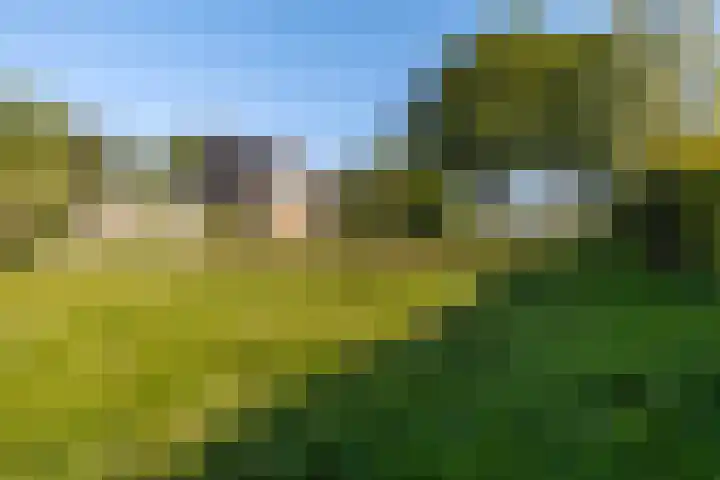 Lytse Wyngaerden 19 Langezwaag thumbnail 44