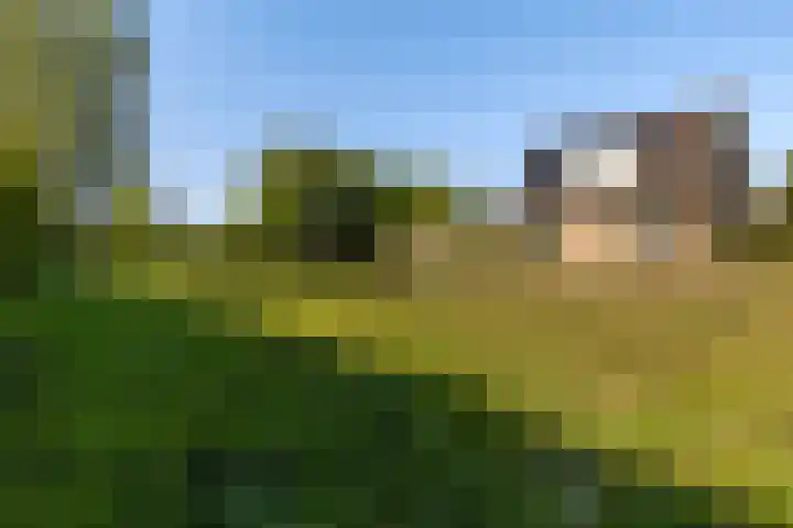 Lytse Wyngaerden 19 Langezwaag thumbnail 45