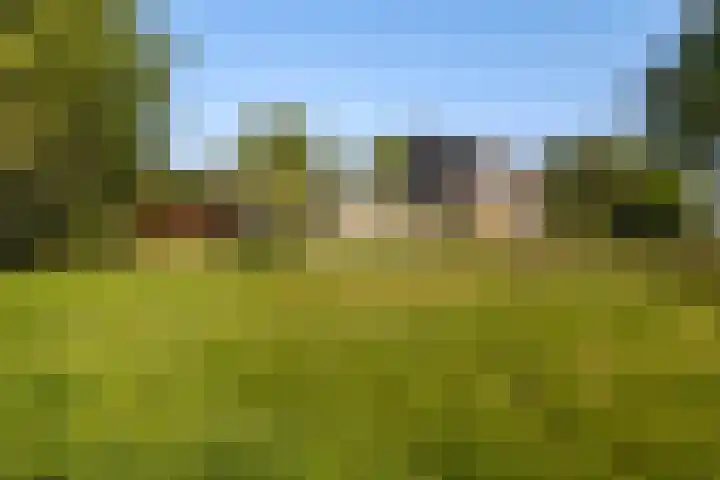 Lytse Wyngaerden 19 Langezwaag thumbnail 46