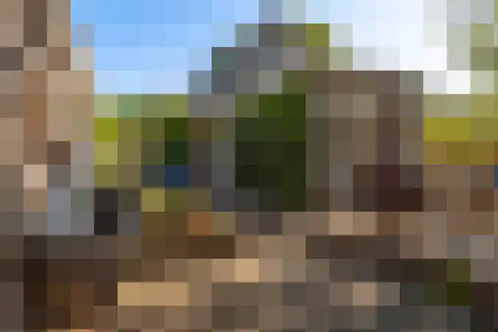 Lytse Wyngaerden 19 Langezwaag thumbnail 6