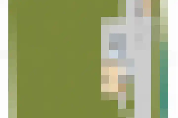 Lytse Wyngaerden 19 Langezwaag thumbnail 64