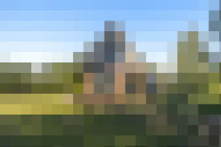 Lytse Wyngaerden 19 Langezwaag thumbnail 7