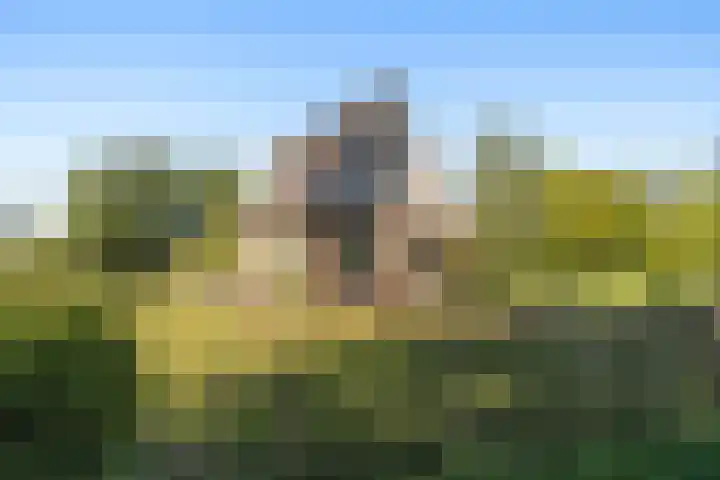 Lytse Wyngaerden 19 Langezwaag thumbnail 8