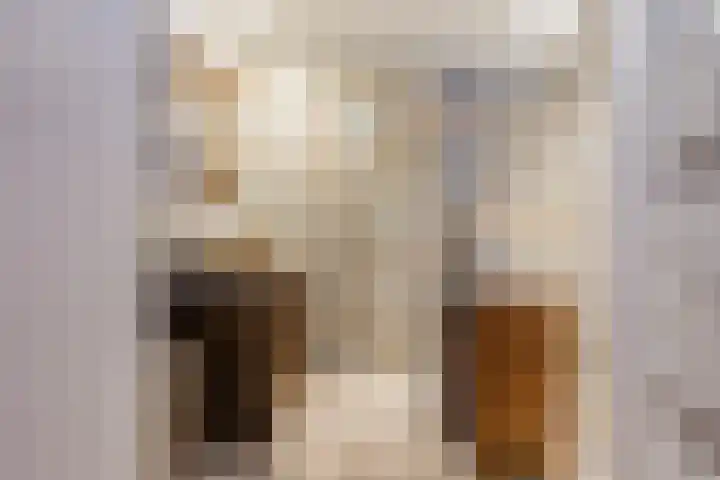 Lytse Wyngaerden 37 Langezwaag thumbnail 4