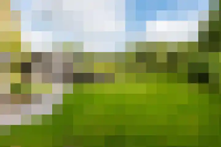 Lytse Wyngaerden 37 Langezwaag thumbnail 5
