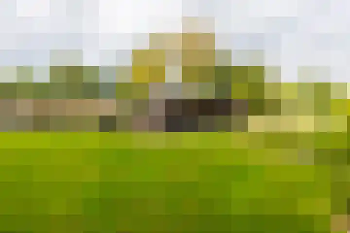 Lytse Wyngaerden 37 Langezwaag thumbnail 64