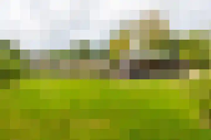 Lytse Wyngaerden 37 Langezwaag thumbnail 65