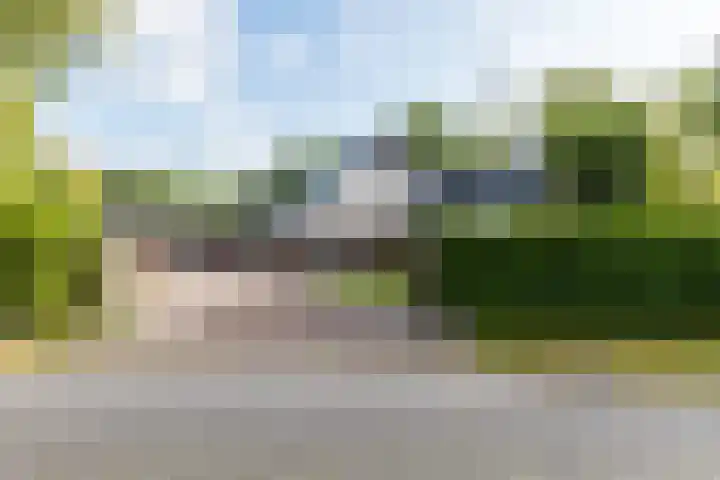 Lytse Wyngaerden 37 Langezwaag thumbnail 8