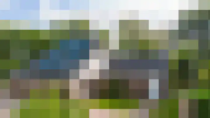 Lytse Wyngaerden 37 Langezwaag thumbnail 9